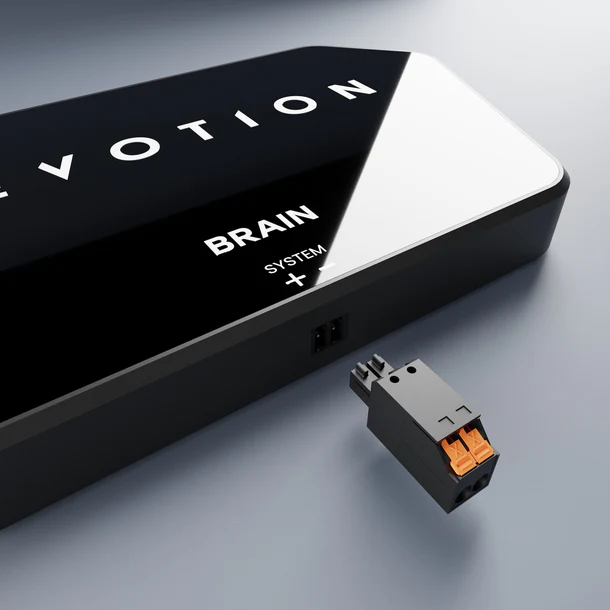 Revotion: Brain